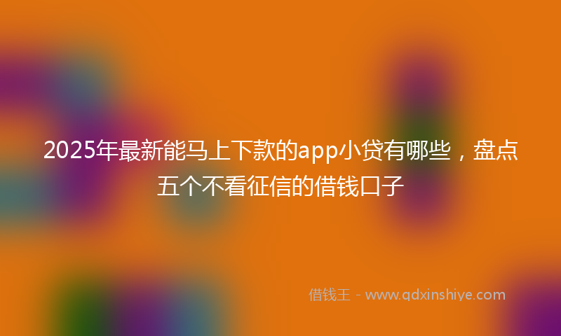 2025年最新能马上下款的app小贷有哪些，盘点五个不看征信的借钱口子