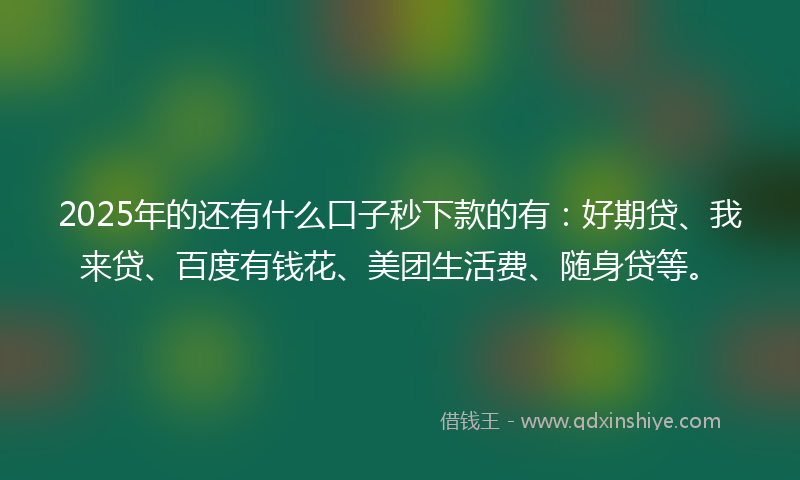 2025年的还有什么口子秒下款的有：好期贷、我来贷、百度有钱花、美团生活费、随身贷等。