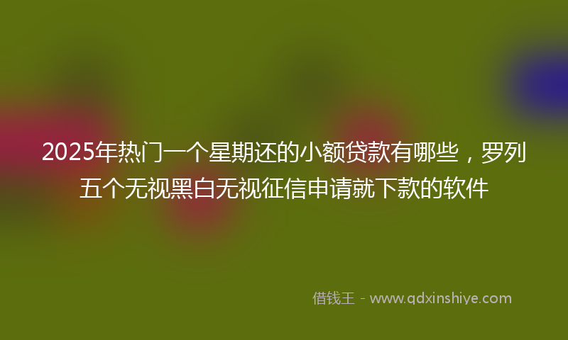 2025年热门一个星期还的小额贷款有哪些，罗列五个无视黑白无视征信申请就下款的软件