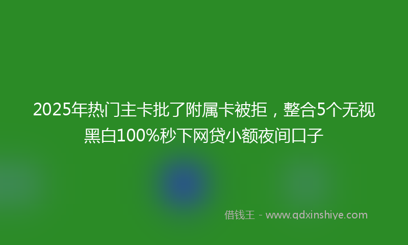 2025年热门主卡批了附属卡被拒，整合5个无视黑白100%秒下网贷小额夜间口子
