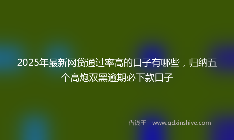 2025年最新网贷通过率高的口子有哪些，归纳五个高炮双黑逾期必下款口子