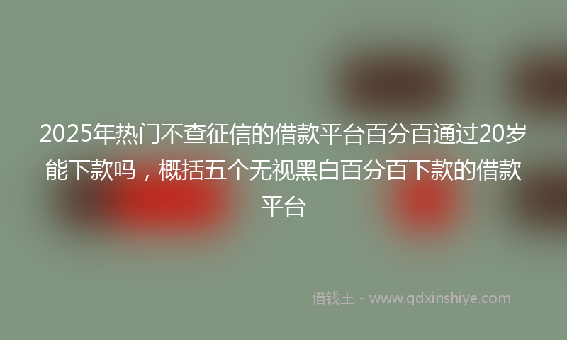 2025年热门不查征信的借款平台百分百通过20岁能下款吗，概括五个无视黑白百分百下款的借款平台
