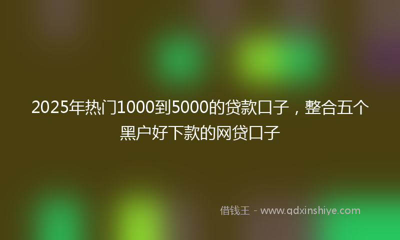 2025年热门1000到5000的贷款口子，整合五个黑户好下款的网贷口子