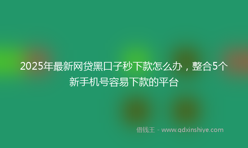 2025年最新网贷黑口子秒下款怎么办，整合5个新手机号容易下款的平台