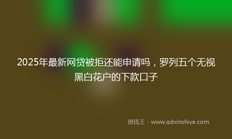 2025年最新网贷被拒还能申请吗，罗列五个无视黑白花户的下款口子