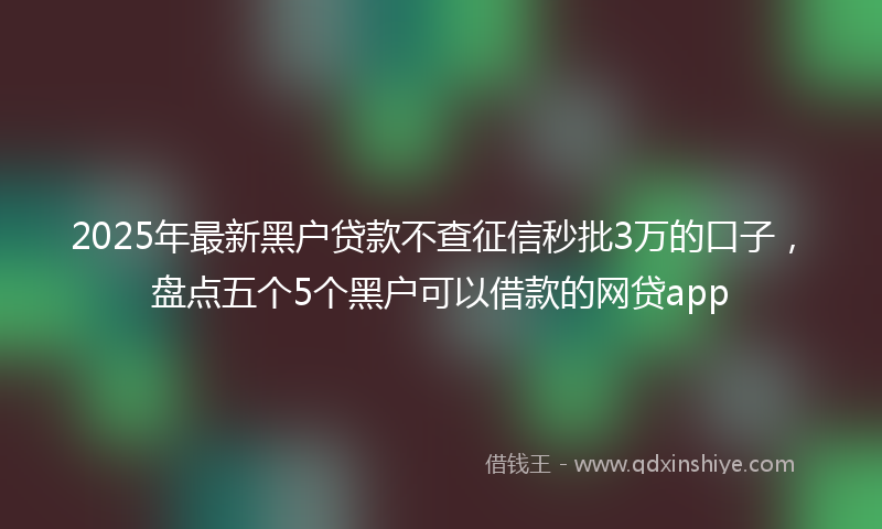 2025年最新黑户贷款不查征信秒批3万的口子，盘点五个5个黑户可以借款的网贷app