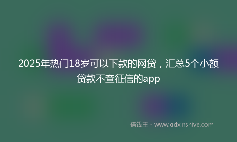 2025年热门18岁可以下款的网贷，汇总5个小额贷款不查征信的app