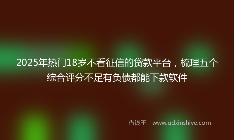 2025年热门18岁不看征信的贷款平台，梳理五个综合评分不足有负债都能下款软件