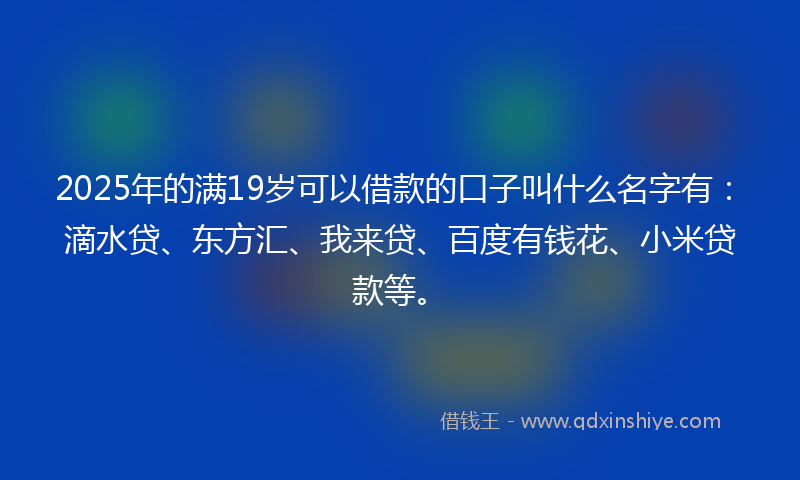2025年的满19岁可以借款的口子叫什么名字有：滴水贷、东方汇、我来贷、百度有钱花、小米贷款等。