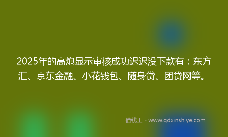 2025年的高炮显示审核成功迟迟没下款有：东方汇、京东金融、小花钱包、随身贷、团贷网等。