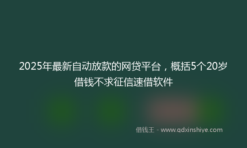 2025年最新自动放款的网贷平台，概括5个20岁借钱不求征信速借软件
