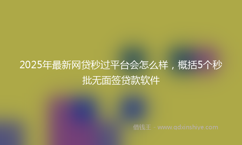 2025年最新网贷秒过平台会怎么样，概括5个秒批无面签贷款软件