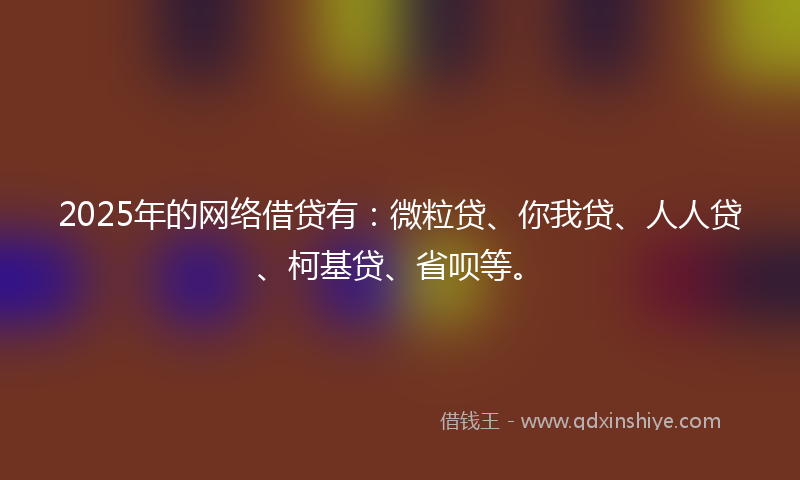 2025年的网络借贷有：微粒贷、你我贷、人人贷、柯基贷、省呗等。