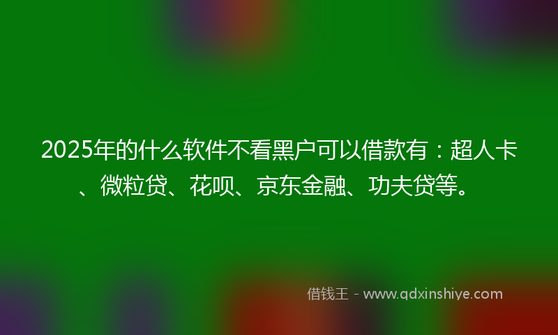 2025年的什么软件不看黑户可以借款有：超人卡、微粒贷、花呗、京东金融、功夫贷等。