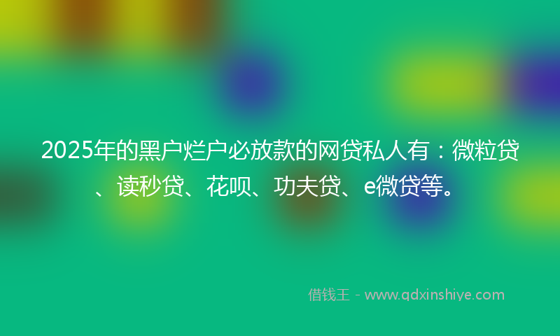 2025年的黑户烂户必放款的网贷私人有：微粒贷、读秒贷、花呗、功夫贷、e微贷等。