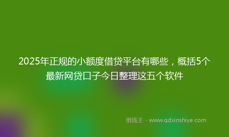 2025年正规的小额度借贷平台有哪些，概括5个最新网贷口子今日整理这五个软件
