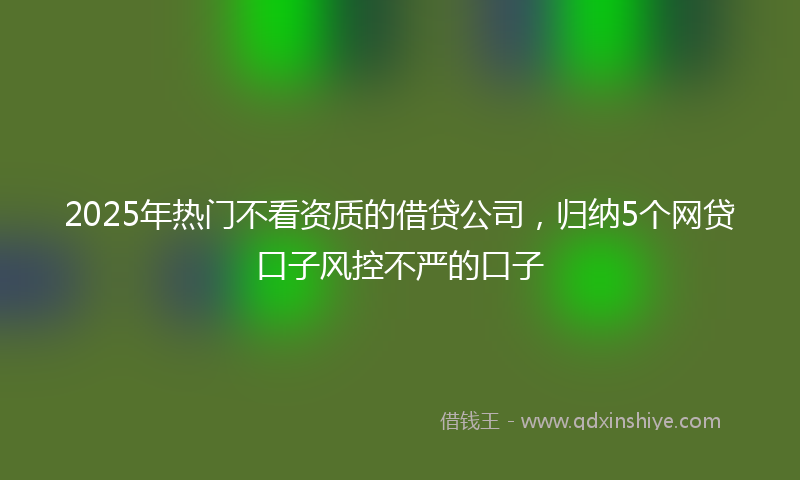 2025年热门不看资质的借贷公司，归纳5个网贷口子风控不严的口子