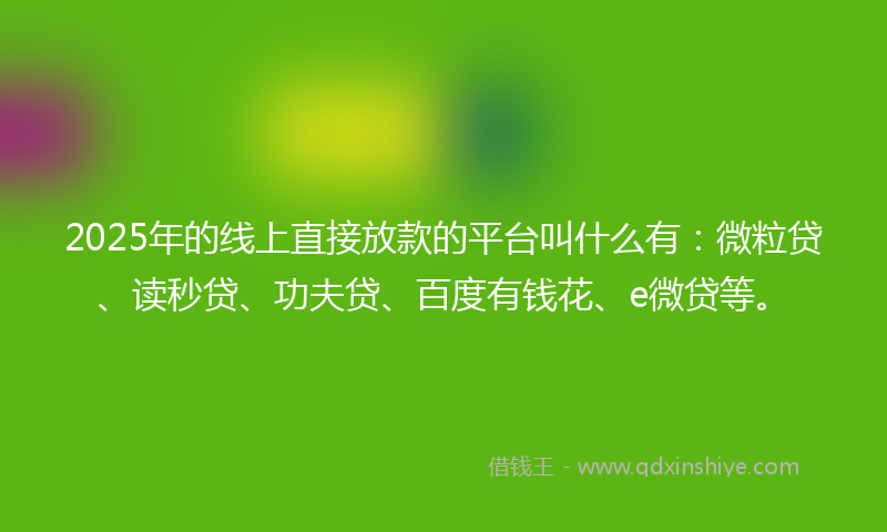 2025年的线上直接放款的平台叫什么有：微粒贷、读秒贷、功夫贷、百度有钱花、e微贷等。