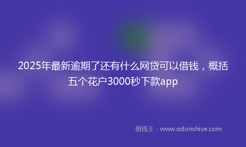 2025年最新逾期了还有什么网贷可以借钱,概括五个花户3000秒下款app