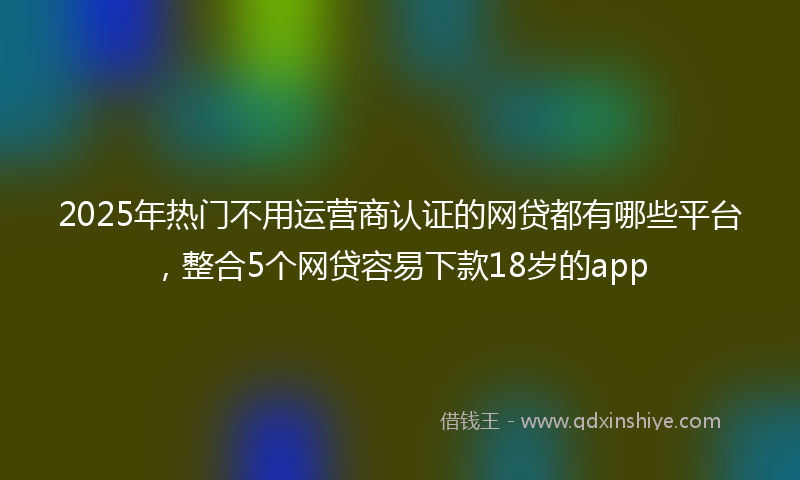 2025年热门不用运营商认证的网贷都有哪些平台，整合5个网贷容易下款18岁的app