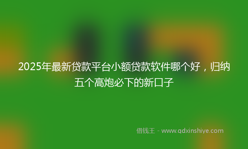 2025年最新贷款平台小额贷款软件哪个好，归纳五个高炮必下的新口子
