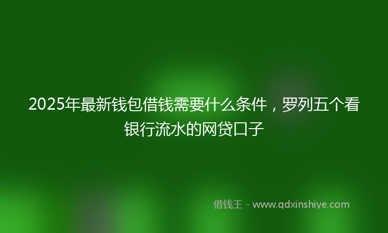 2025年最新钱包借钱需要什么条件，罗列五个看银行流水的网贷口子