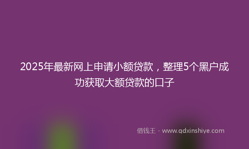 2025年最新网上申请小额贷款，整理5个黑户成功获取大额贷款的口子