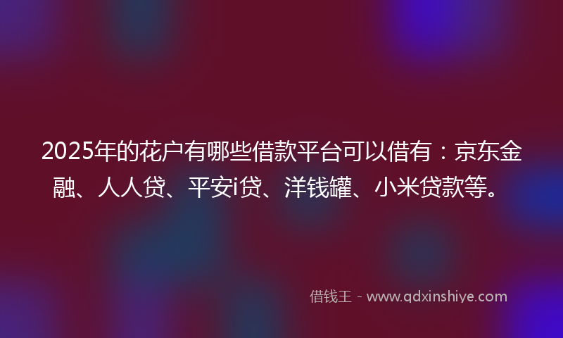 2025年的花户有哪些借款平台可以借有：京东金融、人人贷、平安i贷、洋钱罐、小米贷款等。