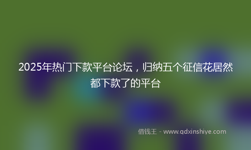 2025年热门下款平台论坛，归纳五个征信花居然都下款了的平台