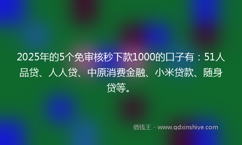 2025年的5个免审核秒下款1000的口子有：51人品贷、人人贷、中原消费金融、小米贷款、随身贷等。