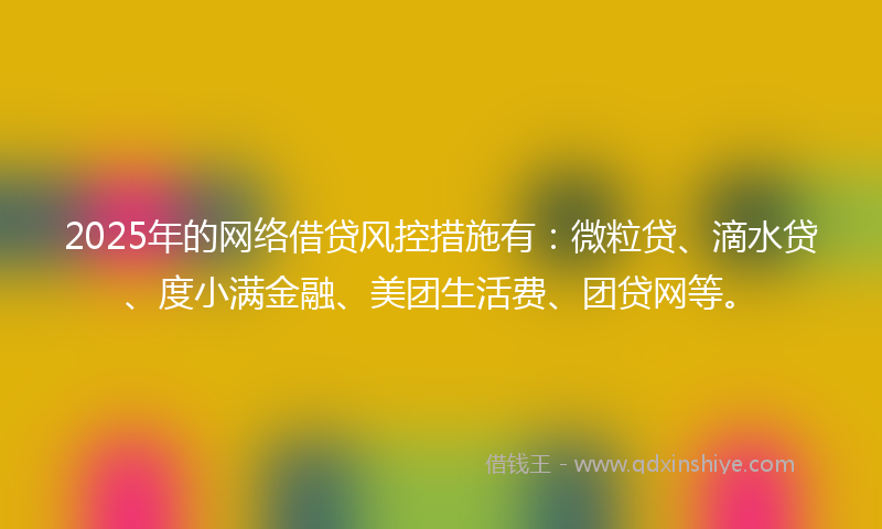 2025年的网络借贷风控措施有：微粒贷、滴水贷、度小满金融、美团生活费、团贷网等。