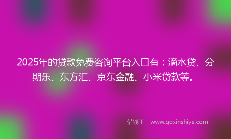 2025年的贷款免费咨询平台入口有：滴水贷、分期乐、东方汇、京东金融、小米贷款等。