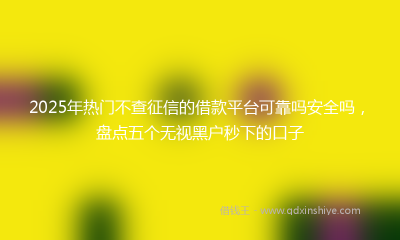 2025年热门不查征信的借款平台可靠吗安全吗，盘点五个无视黑户秒下的口子