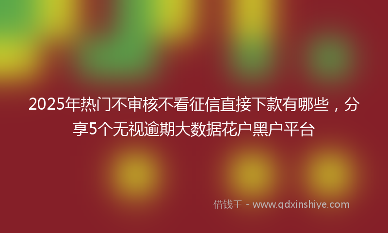 2025年热门不审核不看征信直接下款有哪些，分享5个无视逾期大数据花户黑户平台