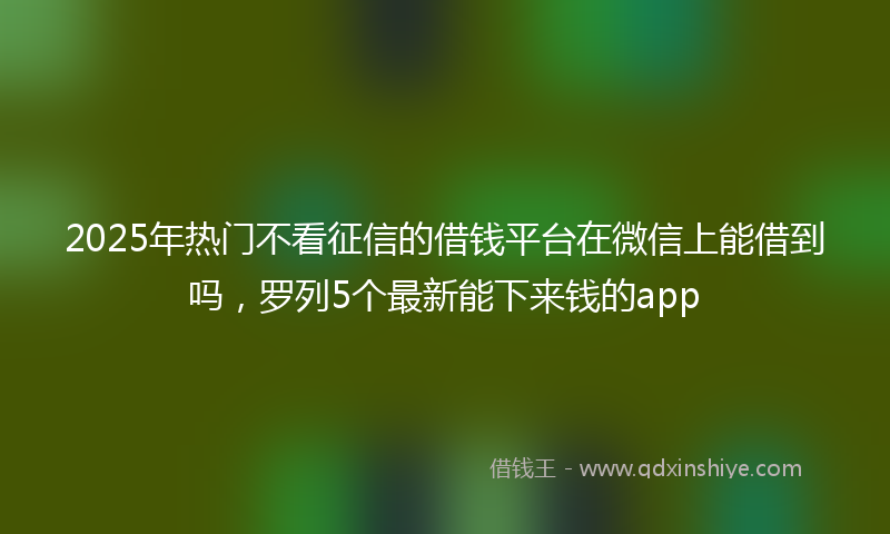 2025年热门不看征信的借钱平台在微信上能借到吗，罗列5个最新能下来钱的app