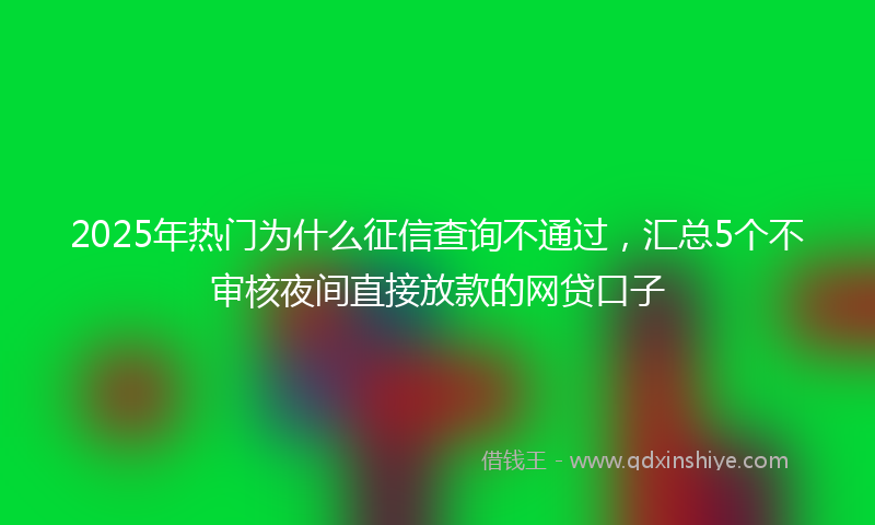 2025年热门为什么征信查询不通过，汇总5个不审核夜间直接放款的网贷口子