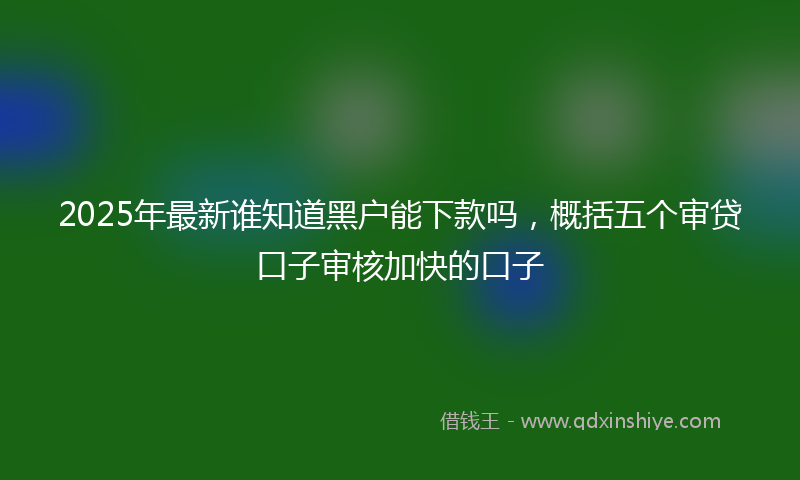 2025年最新谁知道黑户能下款吗，概括五个审贷口子审核加快的口子
