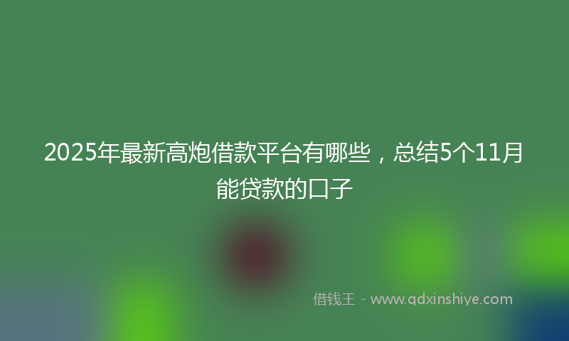 2025年最新高炮借款平台有哪些，总结5个11月能贷款的口子