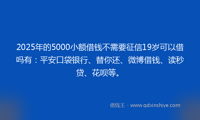 2025年的5000小额借钱不需要征信19岁可以借吗有：平安口袋银行、替你还、微博借钱、读秒贷、花呗等。
