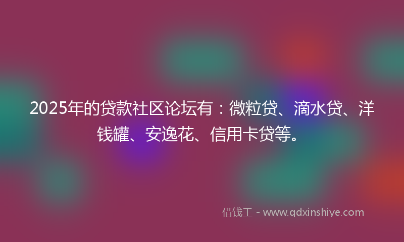 2025年的贷款社区论坛有：微粒贷、滴水贷、洋钱罐、安逸花、信用卡贷等。