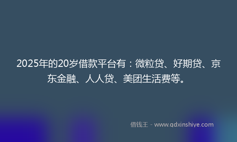 2025年的20岁借款平台有：微粒贷、好期贷、京东金融、人人贷、美团生活费等。
