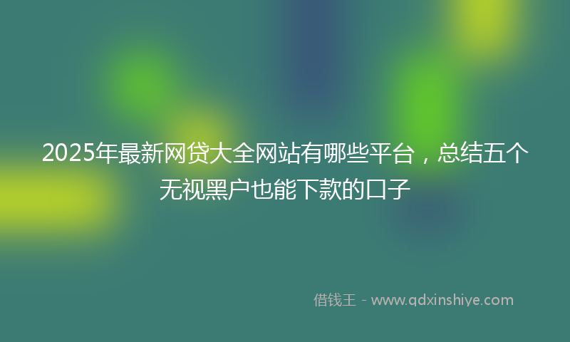 2025年最新网贷大全网站有哪些平台，总结五个无视黑户也能下款的口子