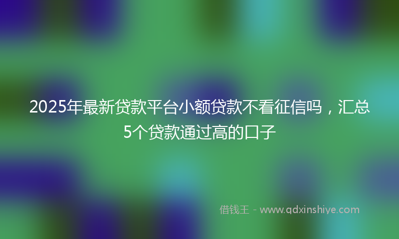 2025年最新贷款平台小额贷款不看征信吗，汇总5个贷款通过高的口子