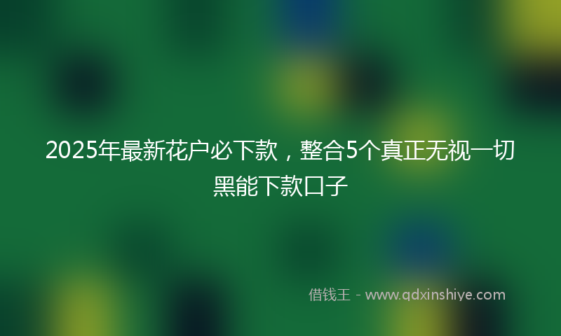 2025年最新花户必下款，整合5个真正无视一切黑能下款口子