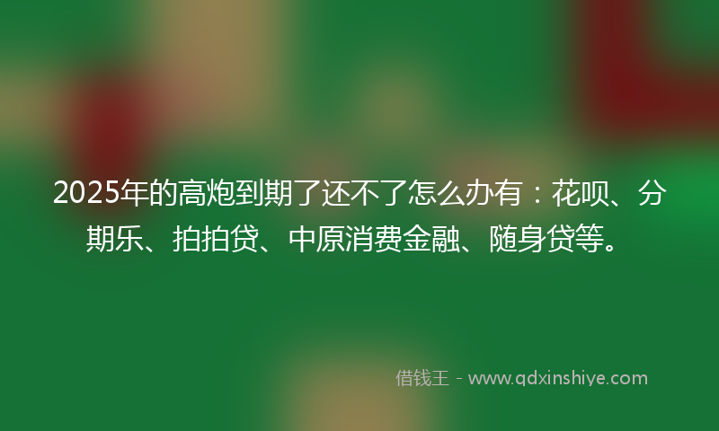 2025年的高炮到期了还不了怎么办有：花呗、分期乐、拍拍贷、中原消费金融、随身贷等。