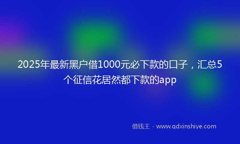 2025年最新黑户借1000元必下款的口子，汇总5个征信花居然都下款的app