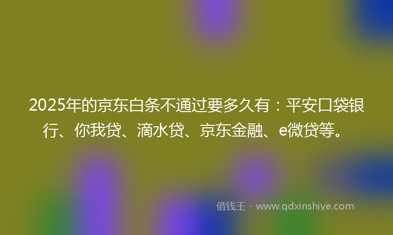 2025年的京东白条不通过要多久有：平安口袋银行、你我贷、滴水贷、京东金融、e微贷等。