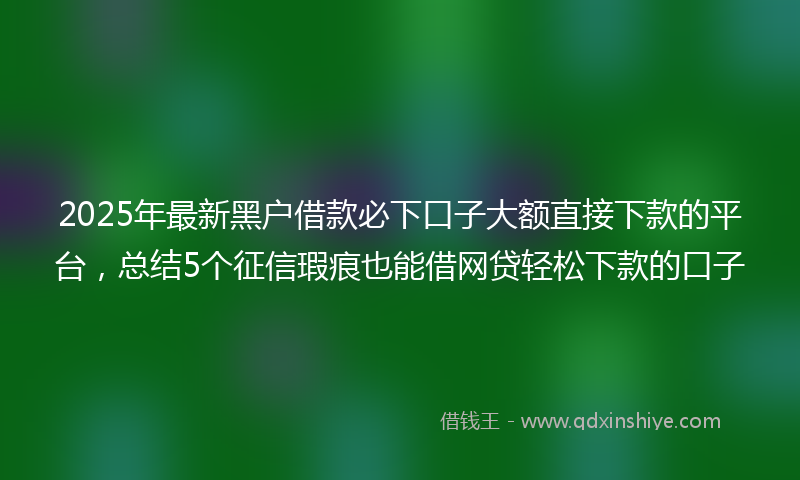 2025年最新黑户借款必下口子大额直接下款的平台，总结5个征信瑕疵也能借网贷轻松下款的口子