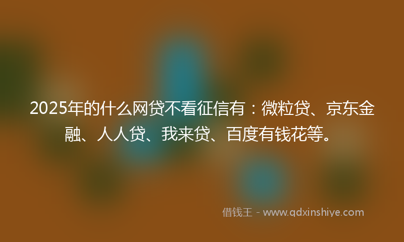 2025年的什么网贷不看征信有：微粒贷、京东金融、人人贷、我来贷、百度有钱花等。