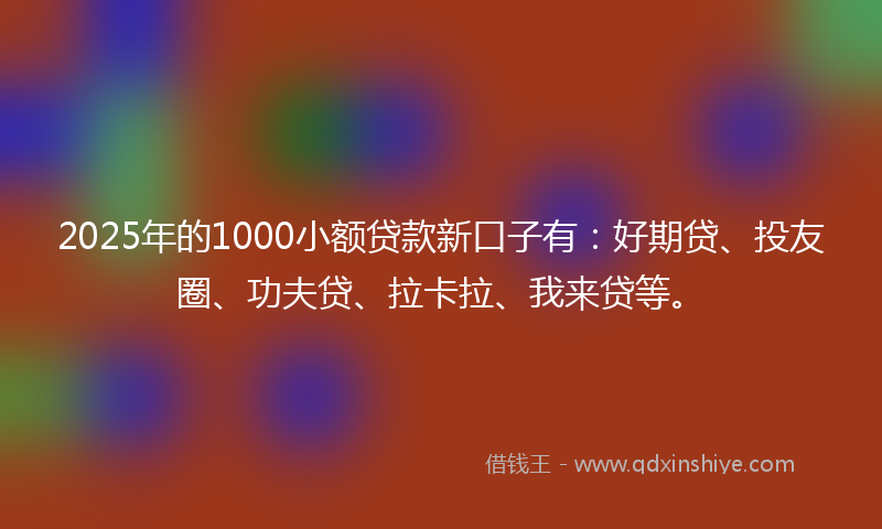 2025年的1000小额贷款新口子有：好期贷、投友圈、功夫贷、拉卡拉、我来贷等。